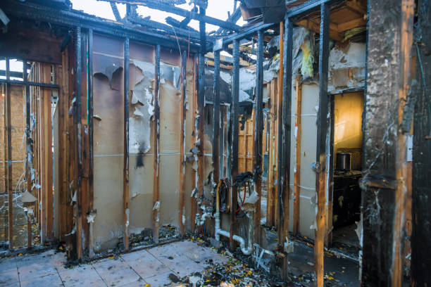 Professional Fire Damage Removal technician working in Randolph, MN